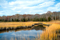 Touisset Wildlife Refuge - Warren, RI