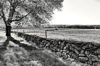 Late Afternoon on the Farm